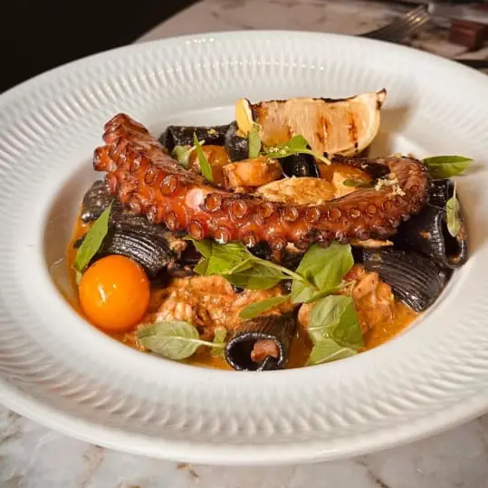 Rigatoni Nero Al Polvo